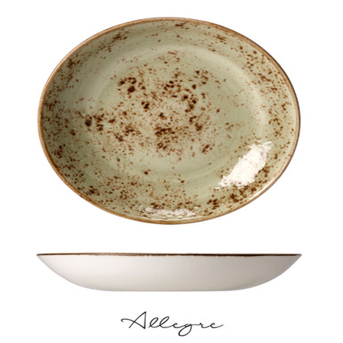 11.5 in. Shallow Serving Dish for 5 to 8 Persons 1.8 L - Speckled Green