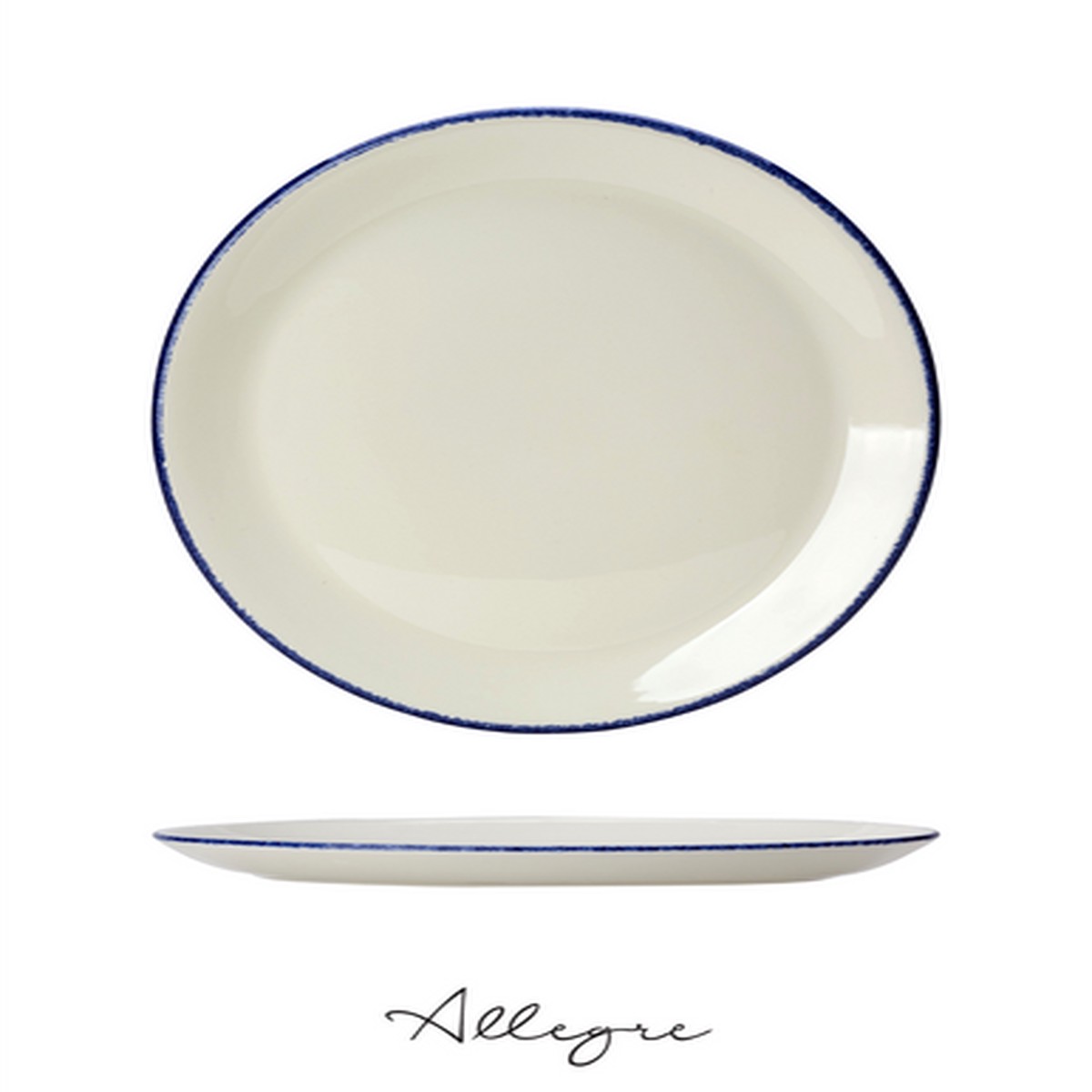 11 in. Serving Plate for 3 to 4 Persons - Azure