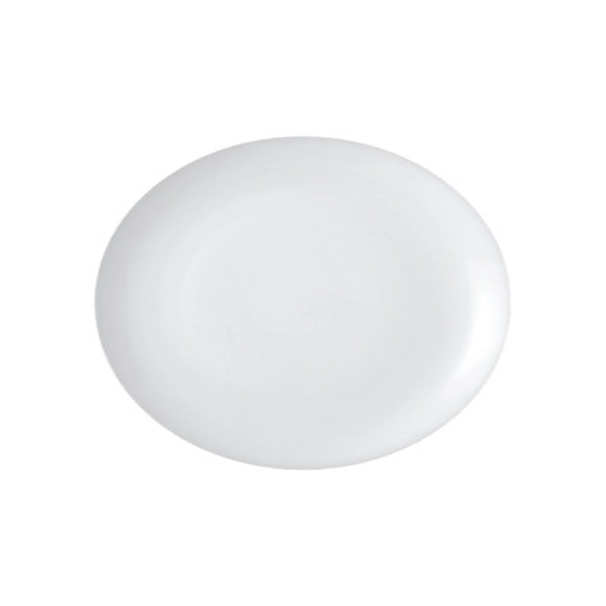 10.4 in. Dinner Plate/Serving Plate for 2 to 3 Persons - Oriental