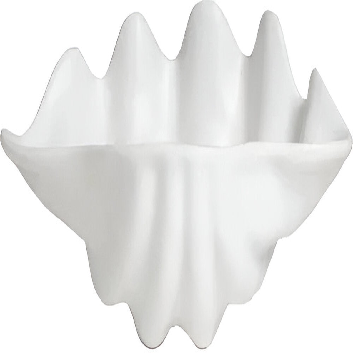 Bugambilia - Classic 13.5 Oz Medium White Shell Ceviche Shell Plate With Elegantly Textured - SC003WW
